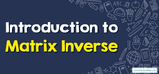 Introduction to Matrix Inverse