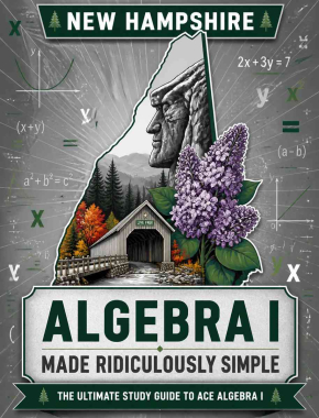 New Hampshire Algebra I Made Ridiculously Simple
