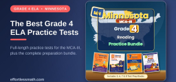 The Best Grade 4 ELA Practice Tests for Minnesota Students