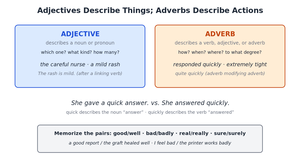 Labeled diagram with arrows showing that adjectives modify nouns and pronouns while adverbs modify verbs, adjectives, and other adverbs, with an example sentence for each arrow