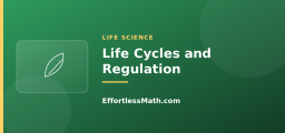 Life Cycles and Regulation