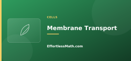 Membrane Transport