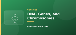 DNA, Genes, and Chromosomes