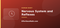 Nervous System and Reflexes
