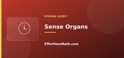 Sense Organs