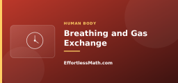Breathing and Gas Exchange