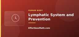 Lymphatic System and Prevention