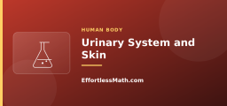 Urinary System and Skin
