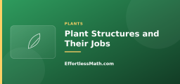 Plant Structures and Their Jobs