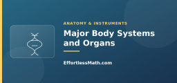 Major Body Systems and Organs