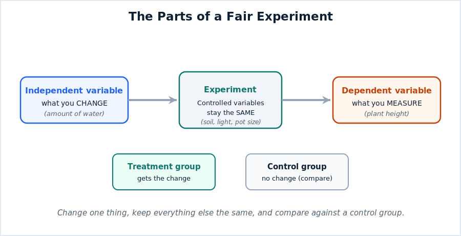 Diagram of a fair experiment showing the independent variable you change, the controlled variables you keep the same, and the dependent variable you measure, with a treatment group and a control group
