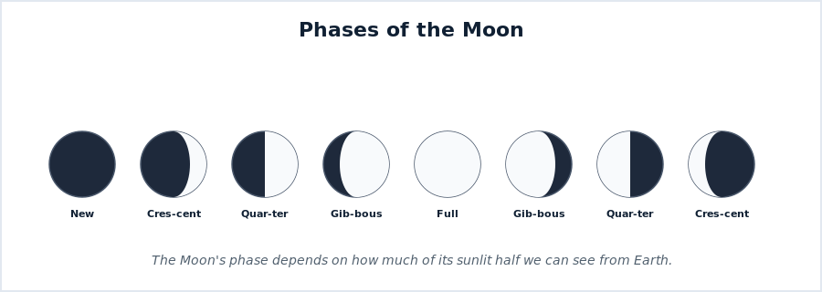 The phases of the Moon from new moon to full moon and back