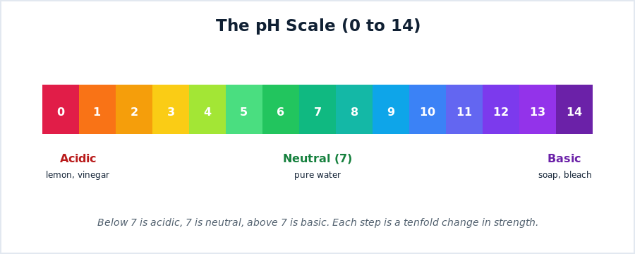 The pH scale from 0 to 14 showing acidic, neutral, and basic ranges