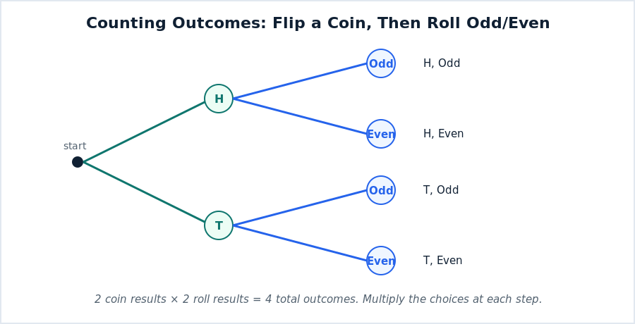 A tree diagram showing a coin flip of heads or tails, each branching into odd or even, producing four total outcomes