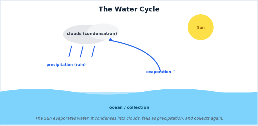 The water cycle showing evaporation, condensation into clouds, precipitation, and collection
