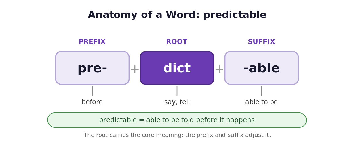 Word anatomy diagram breaking predictable into the prefix pre-, the root dict meaning say or tell, and the suffix -able