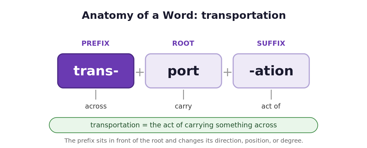 Word anatomy diagram breaking transportation into the prefix trans- meaning across, the root port meaning carry, and the suffix -ation