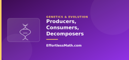 Ecosystems: Producers, Consumers, and Decomposers