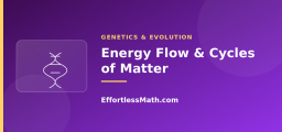 Energy Flow and the Cycles of Matter