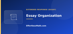 Organization, Tone, and Transitions