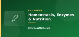 Homeostasis, Enzymes, and Nutrition
