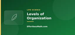 From Cells to Organisms: Levels of Organization