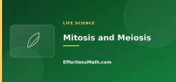 Cell Division: Mitosis and Meiosis
