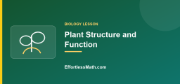 Plant Structure and Function: A Beginner’s Guide