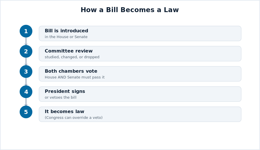 How a bill becomes a law: introduced, committee review, both chambers vote, President signs, becomes law