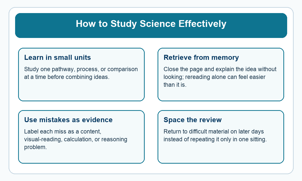 Four-part beginner diagram for how to study science effectively