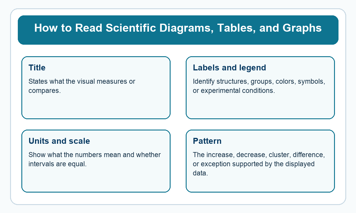 Four-part beginner diagram for how to read scientific diagrams, tables, and graphs