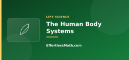The Human Body Systems