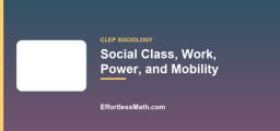Social Class, Work, Power, and Mobility