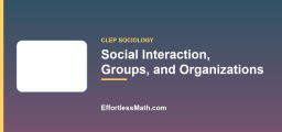 Social Interaction, Groups, and Organizations