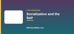 Socialization and the Self