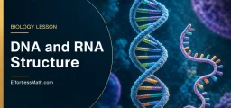 DNA and RNA Structure