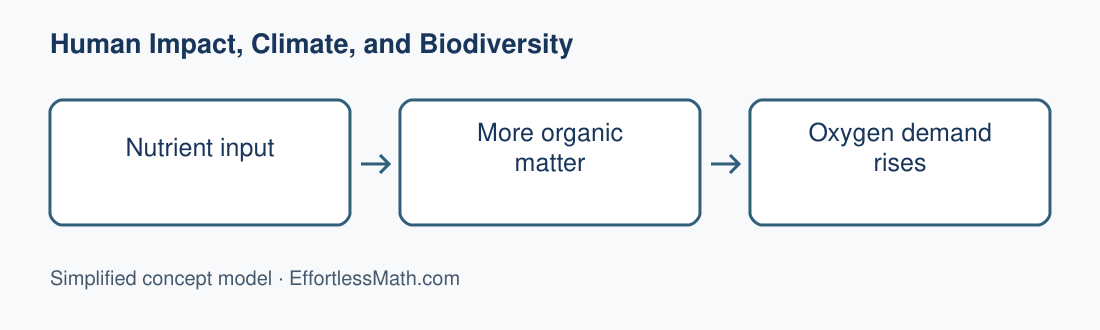 Nutrient input; More organic matter; Oxygen demand rises