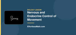 Nervous and Endocrine Control of Movement