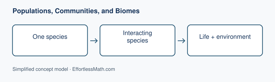One species; Interacting species; Life + environment