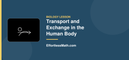 Transport and Exchange in the Human Body