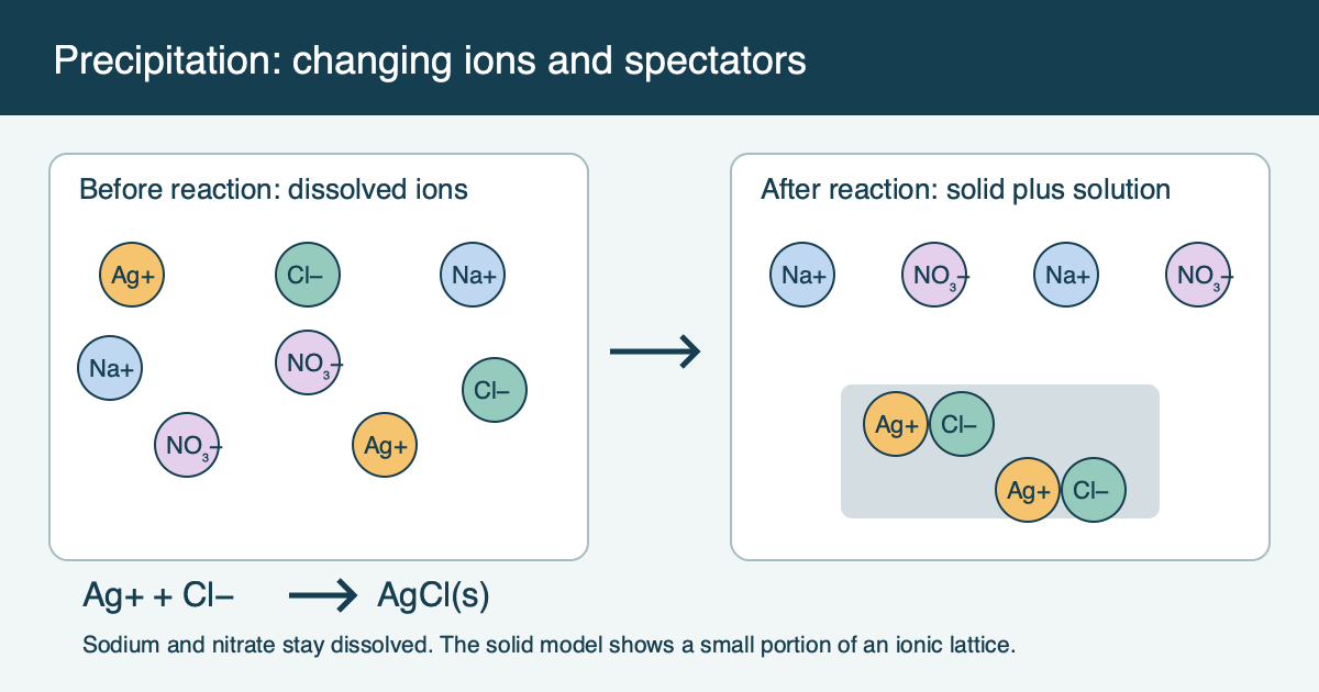 A precipitation particle model conserves silver, chloride, sodium, and nitrate before and after silver chloride forms.
