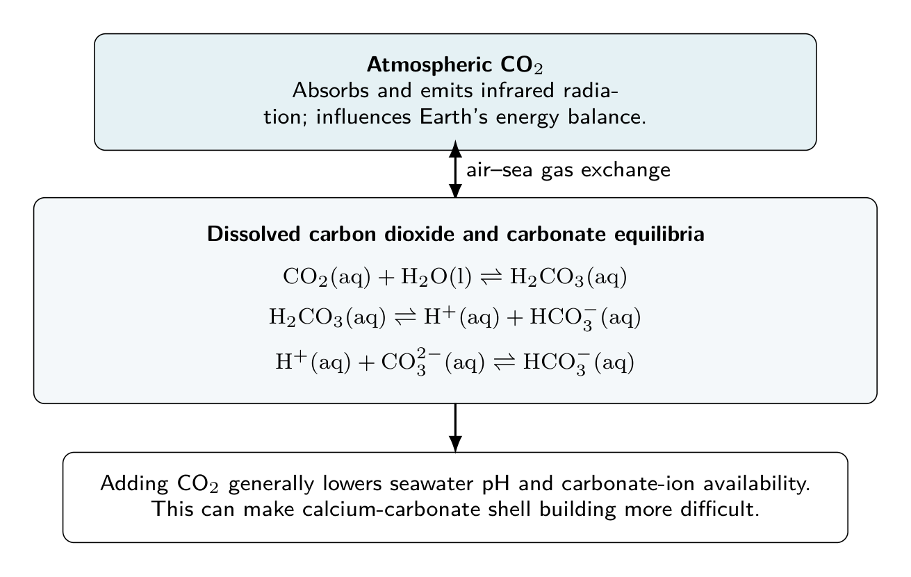 Atmospheric carbon dioxide exchanges with the ocean and participates in balanced carbonate equilibria that can lower seawater pH.