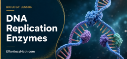 DNA Replication Enzymes