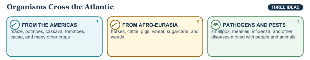 Teaching visual 1 for Columbian Exchange