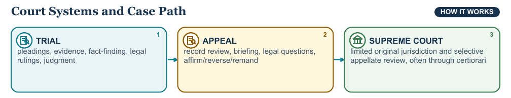 Teaching visual 1 for Courts and Judicial Review